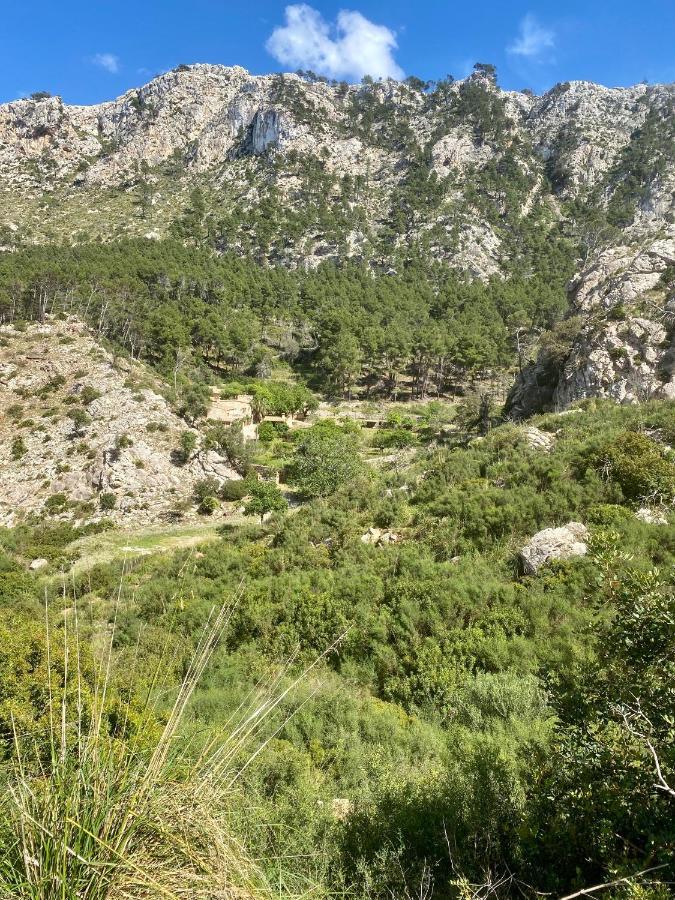 Finca Ses Fontanelles Андратс Екстериор снимка