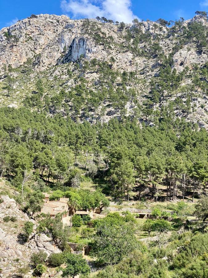 Finca Ses Fontanelles Андратс Екстериор снимка