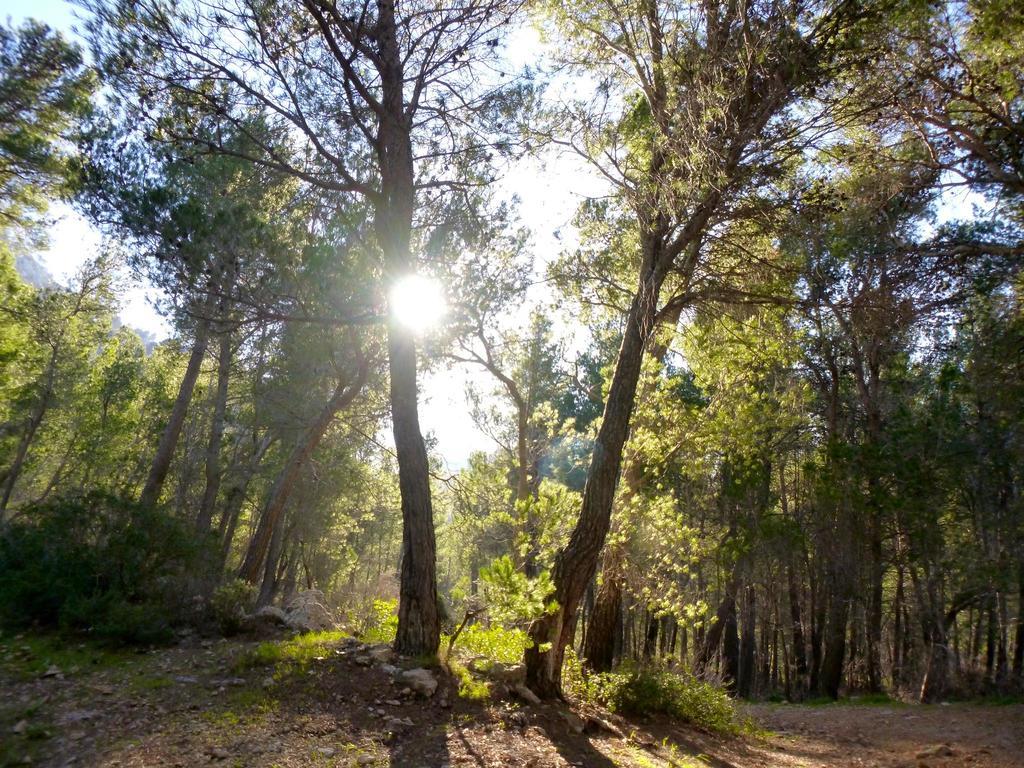 Finca Ses Fontanelles Андратс Екстериор снимка