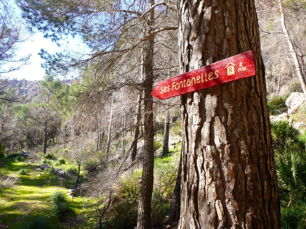 Finca Ses Fontanelles Андратс Екстериор снимка