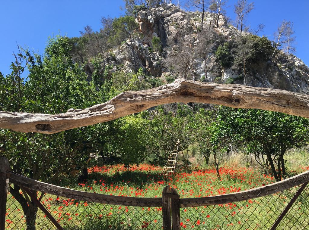 Finca Ses Fontanelles Андратс Екстериор снимка